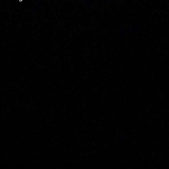 Meet your Posher, Harry - Picture 1 of 1